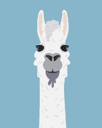 Why Alpaca Yarn Is so popular