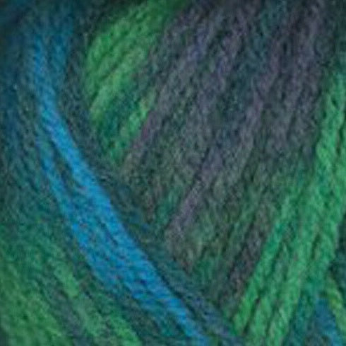 Plymouth Encore Colorspun Chunky Yarn